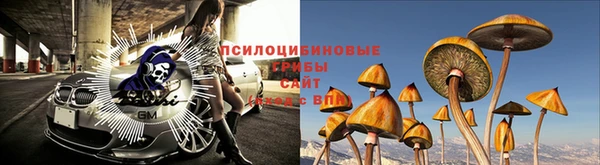 MDMA Premium VHQ Заволжск