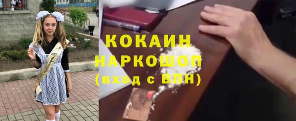 PSILOCYBIN Заводоуковск