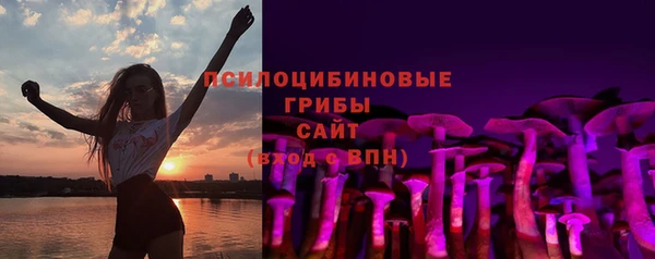 мет Ельня