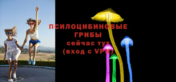 PSILOCYBIN Заводоуковск