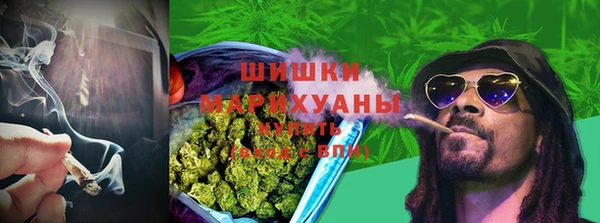 PSILOCYBIN Заводоуковск