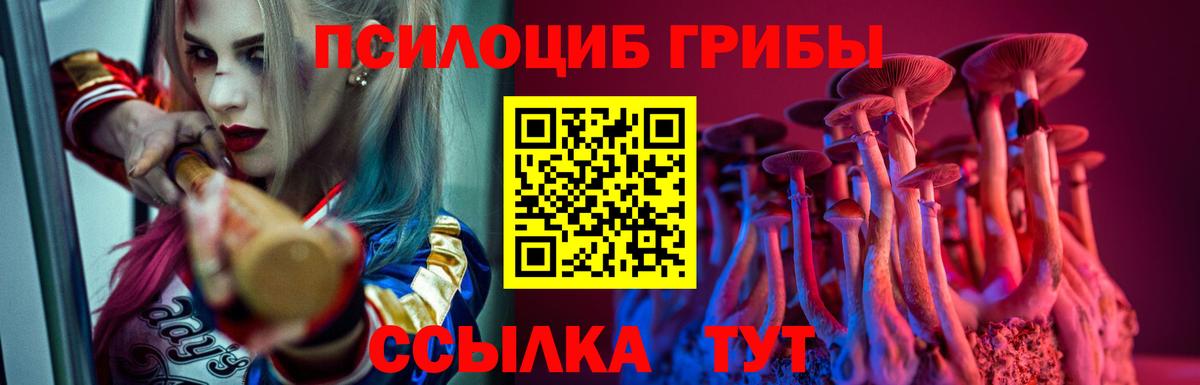 Псилоцибиновые грибы Cubensis Среднеуральск